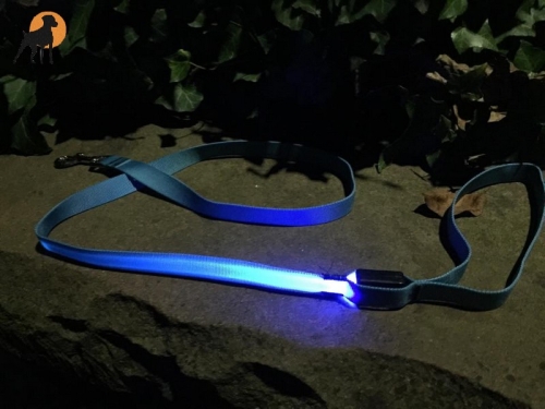 Nylon-Führleine mit LED, 3-stufig, 20mm x 125cm, blau