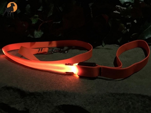 Nylon-Führleine mit LED, 3-stufig, 20mm x 125cm, signalorange