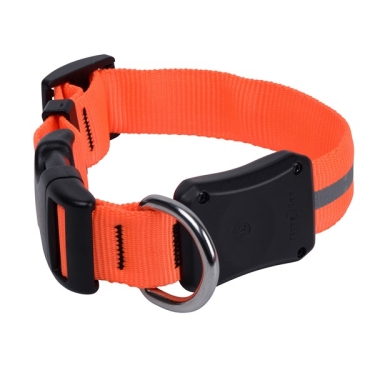 Nite Dawg LED Dog Collar, Gr.3 ca. 46-68cm, Orange - Kopie - Kopie