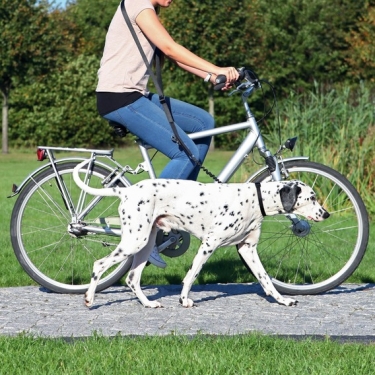 Dog Activity Fahrrad- und Joggingleine 25mm x 100-200cm