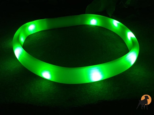 Flash USB Leuchtband XS-S, 35cm / 18mm, grün (Langhaar)