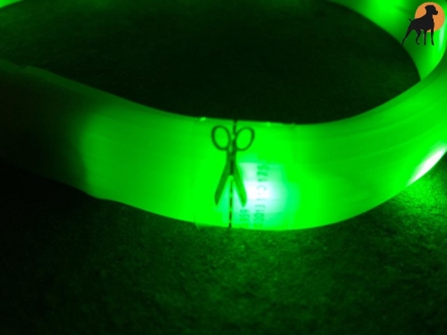 Flash USB Leuchtband M-L, 50cm / 18mm, grün (Kurzhaar)