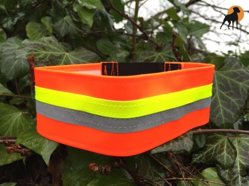 ZanTex Hundeschutzband 30/5cm dehnbar, Signalorange